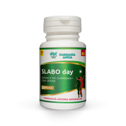 SLABO-DAY (COLEUS FORSKOHLII FORTE 40mg)